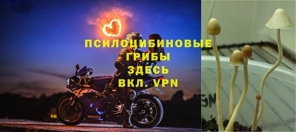 мяу мяу мука Бородино
