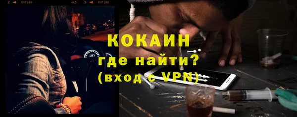 мяу мяу мука Бородино