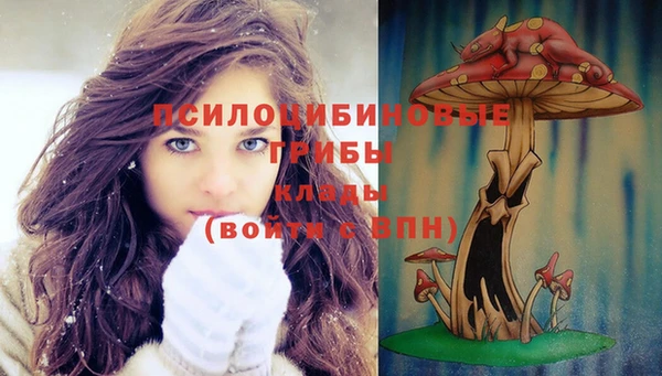 apvp Бугульма