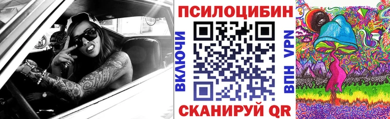 даркнет официальный сайт  Северобайкальск  Галлюциногенные грибы MAGIC MUSHROOMS 
